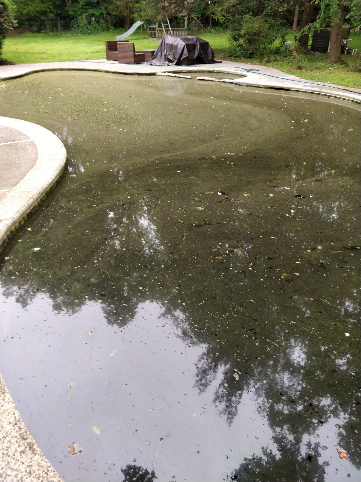 Dirty pool needing acid wash